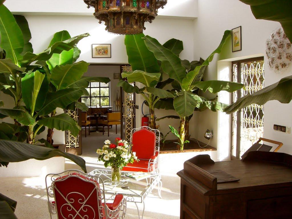 Domaine Malika - Adults Only Otel Ouirgane Dış mekan fotoğraf